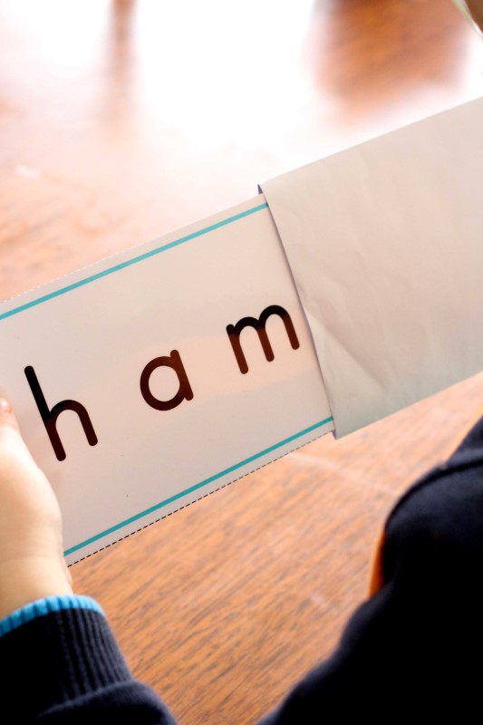 Preschool Letter H - In My World