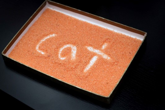 Word Work in Prep / Kindergarten Decor sand tray CVC word building