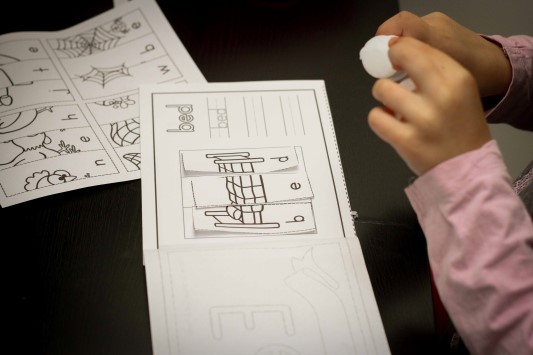 Word Work in Prep / Kindergarten Picture Scramble CVC cut and paste