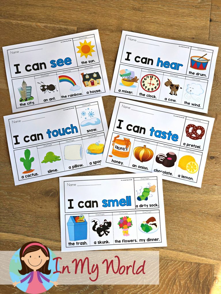 5 senses flip books worksheets in my world